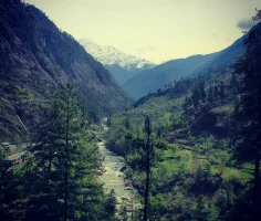 download - 2026-01-23T153053.745