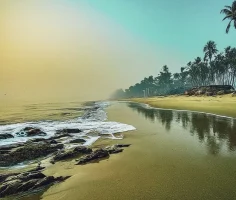 download - 2026-01-23T154345.736